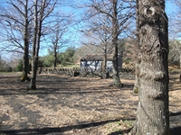 fugio Pianobello04032012 002